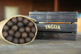 Yagua 6 x 52 (Box of 20)